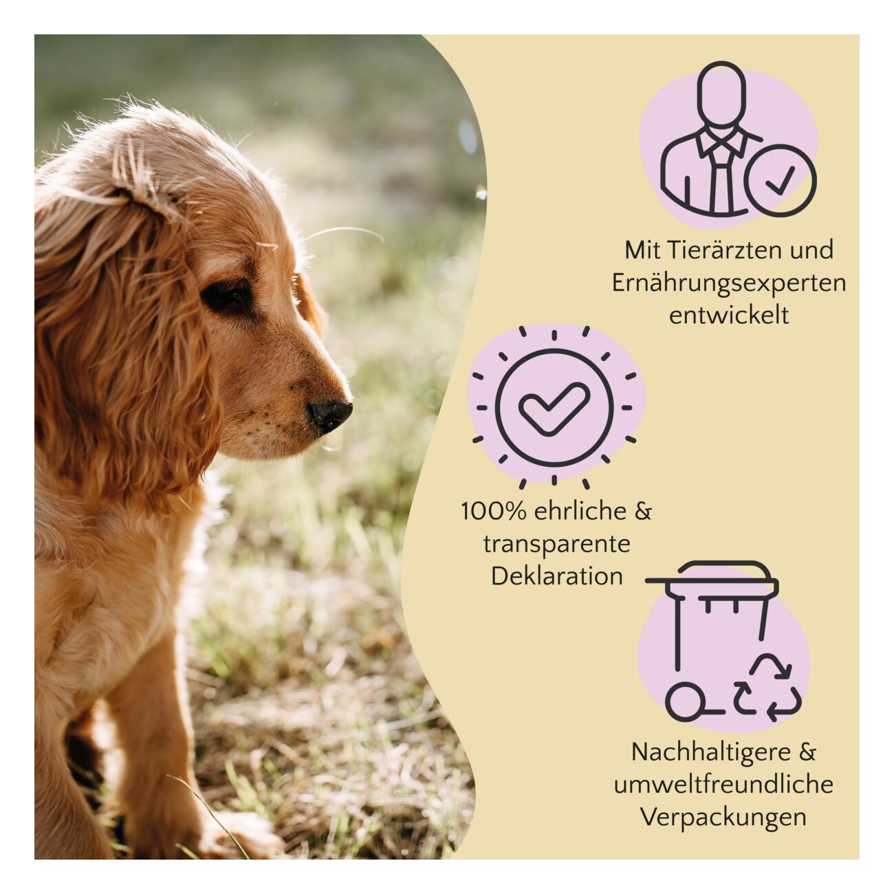 FAVLY Petfood Kaninchenohren mit Fell 360 g