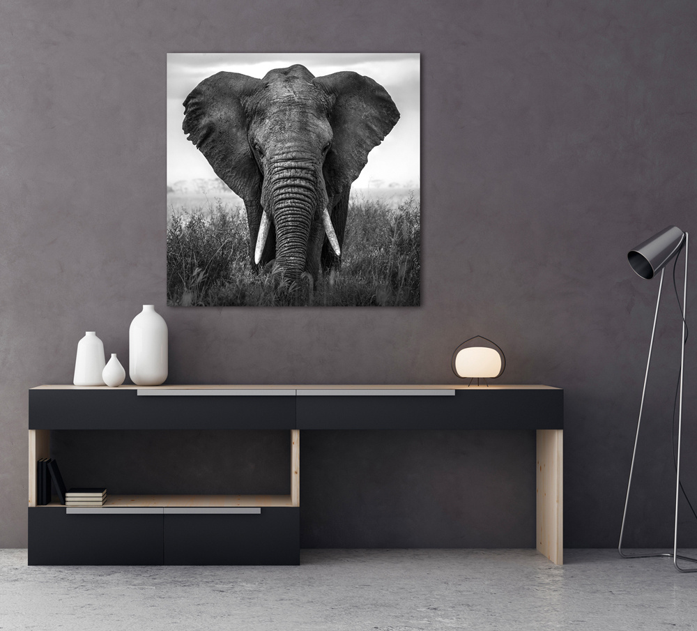 Akustikbild GROßER ELEFANT 80x80cm, 5kg
