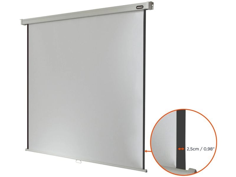 Celexon Rollo-Leinwand Pro 160x160cm 1:1 Leinwand Rollo Professional 160 x 160 cm