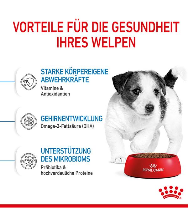 ROYAL CANIN® Trockenfutter für Hunde Mini