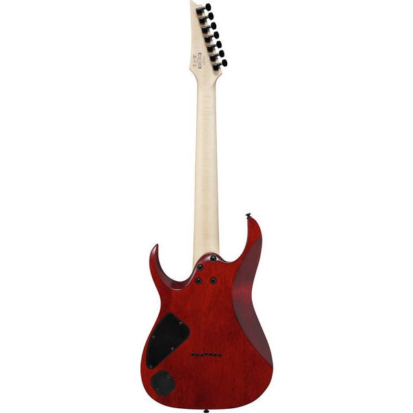Ibanez RGA742FM-TGF