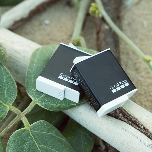 GoPro - Pack 2 batteries rechargeables Enduro