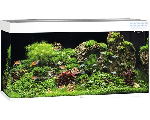 JUWEL Rio 350 aquarium met LED-verlichting, pomp, filter, verwarming (zonder kast), wit