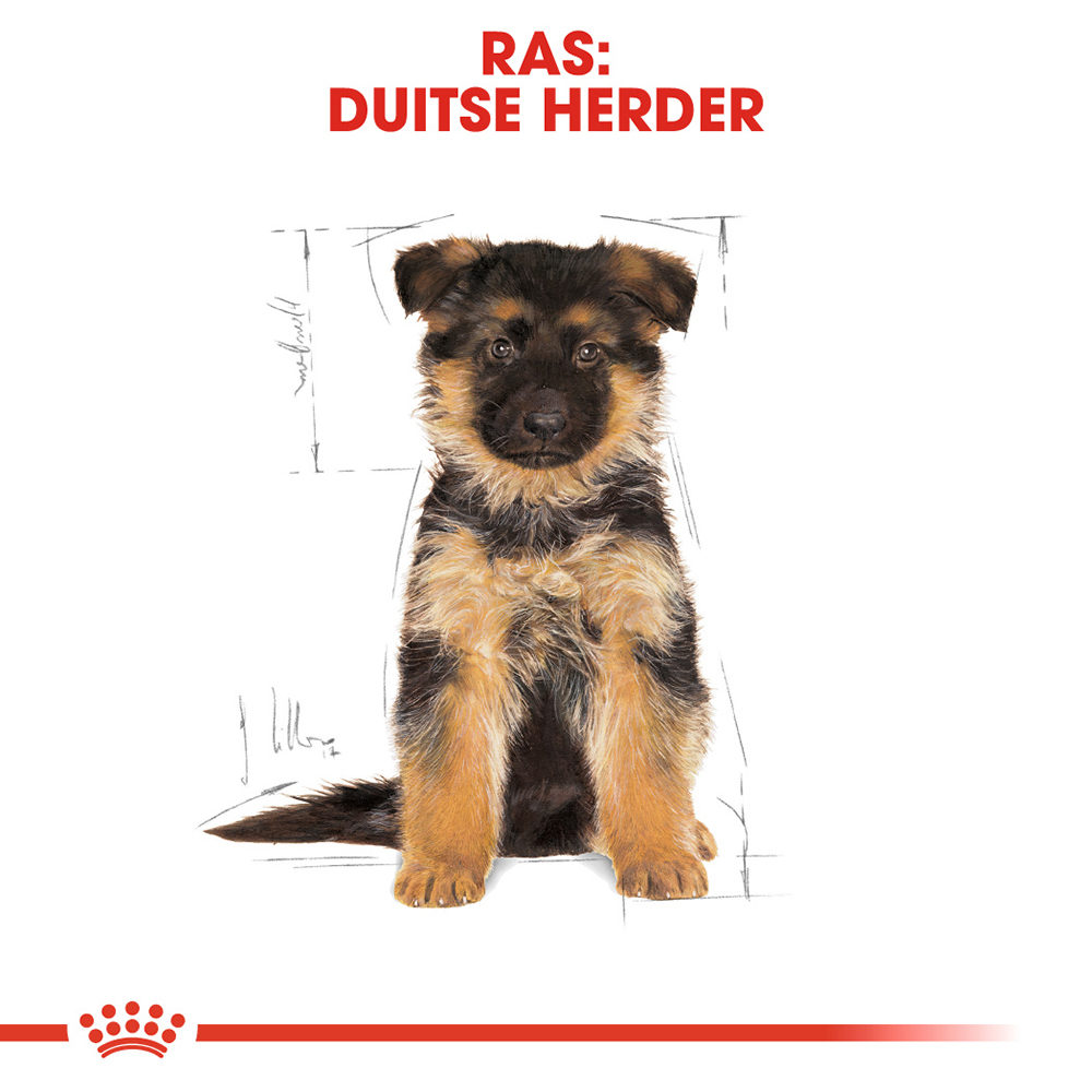 Royal Canin German Shepherd Puppy- Hondenvoer