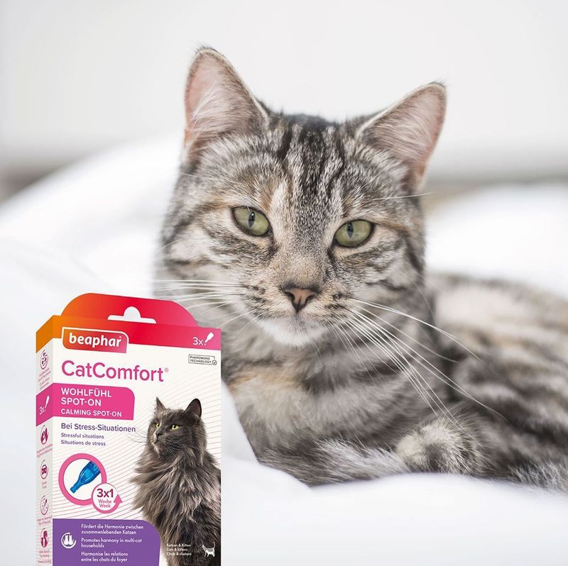 beaphar - CatComfort Spot-On - 3x0,55ml - Kalmerende Behandeling voor Katten