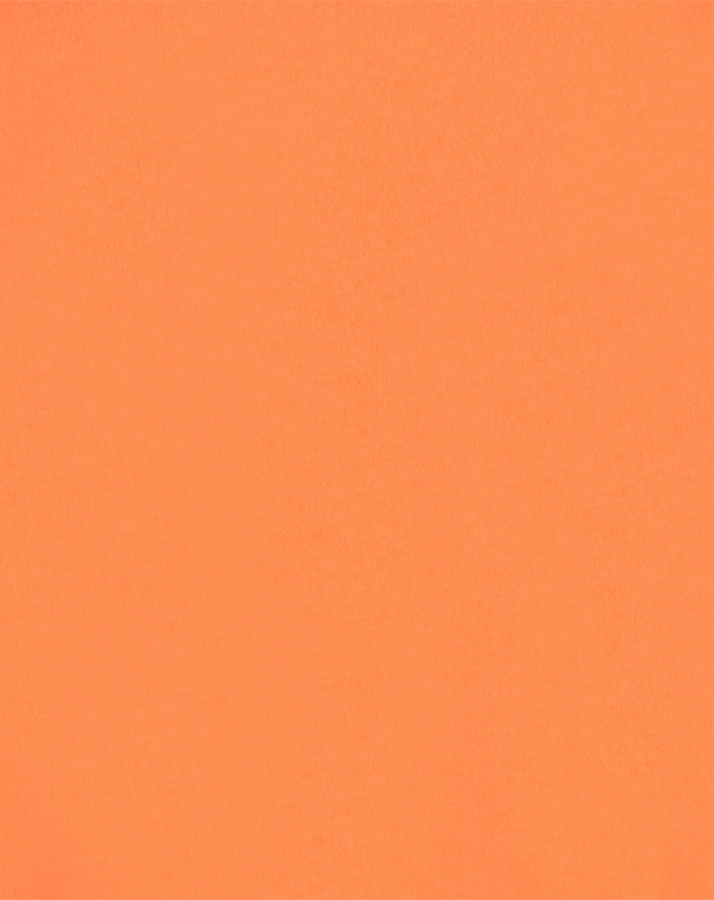 T-Shirt HADDY in grape orange