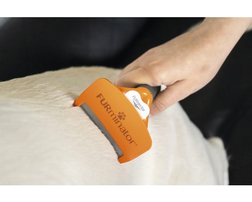 Kam FURminator hond deShedding M korthaar