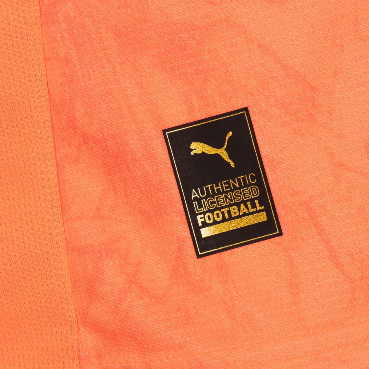 Camisola Puma Manchester City Edição Especial Mundial Clubes 2025