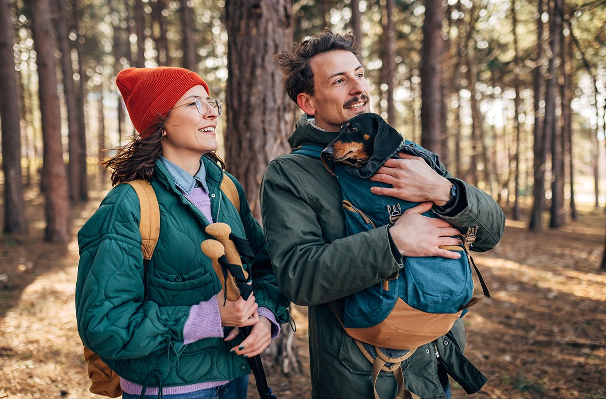 Urlaub mit Hund im Harz
