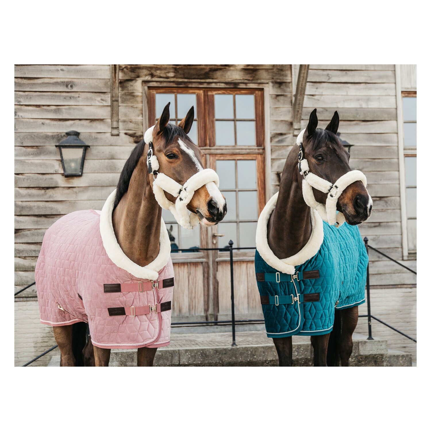KENTUCKY Show Rug Velvet  - emerald