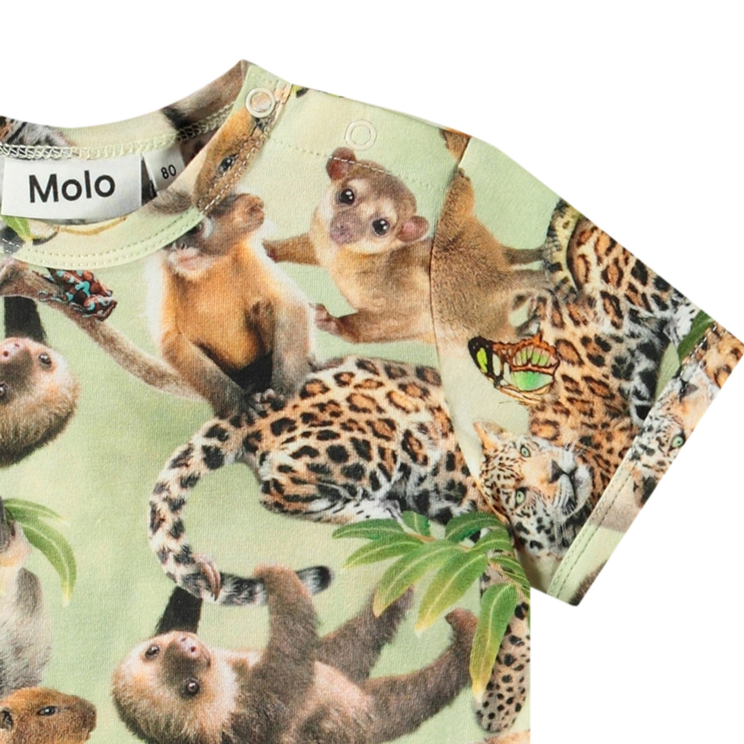 Easy - Jungle Cubs