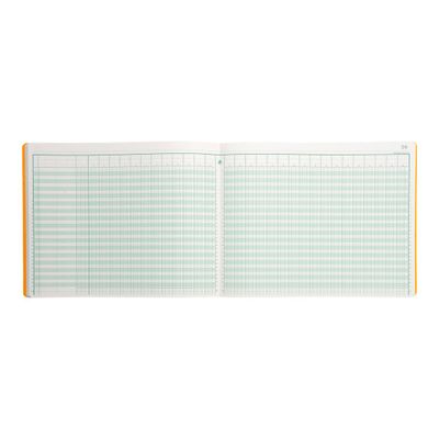 Exacompta - Piqûre comptable - 30 colonnes sur 2 pages - 25 x 32 cm - 80 pages