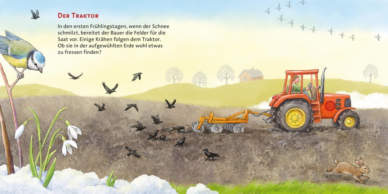 Die Jahreszeiten / Hör mal Bd.21