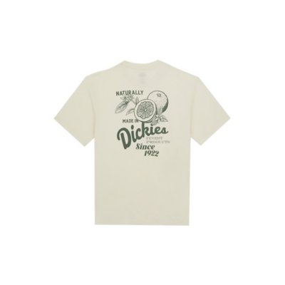 Tee-shirt à manches courtes homme Raven Tee JAUNE DICKIES