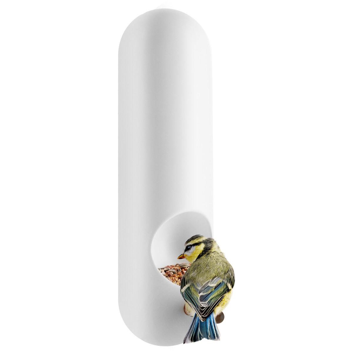 Vegghengt fuglematerrør