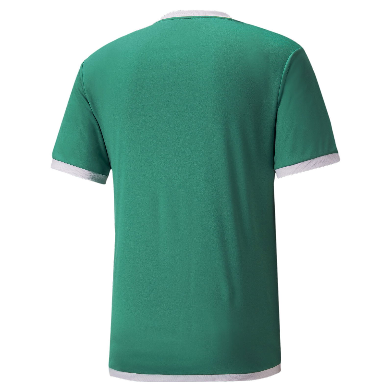 Puma teamLIGA Trænings T-shirt Herre