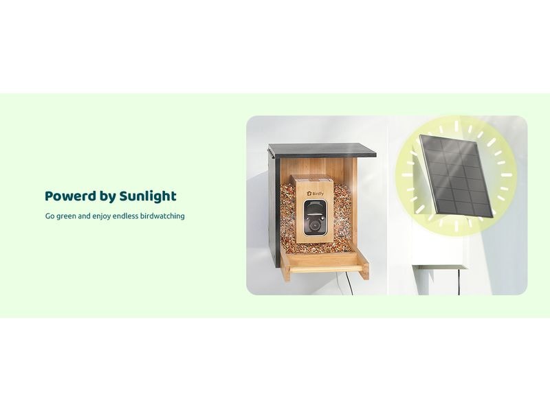 Birdfy Futterspender FSC Bambus Mini Solar Vogelfutterspender mit Kamera und Lifetime AI