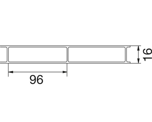 Gutta Acryl Holle Kamerplaat/Dubbelwandige Plaat Panorama 96-16 helder 3500 mm x 980 mm x 16 mm