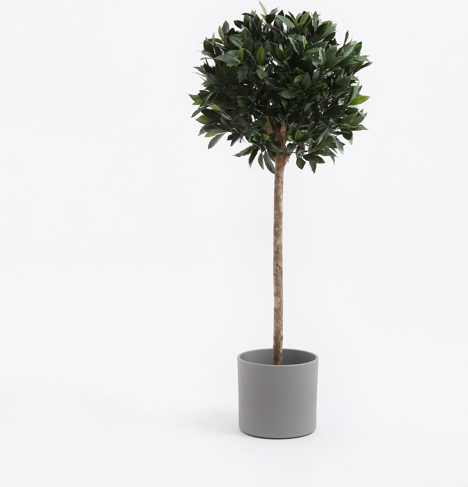 Mica Decorations bloempot Era mat grijs D 28 H 26 cm