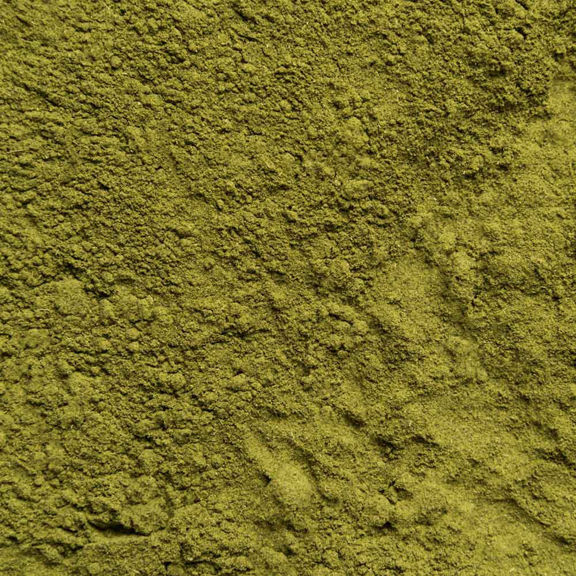 Biotiva Moringa Pulver Bio