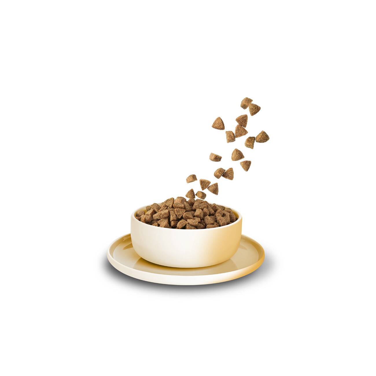 KittyCat Trockenfutter Katze, Adult, Huhn 3 kg