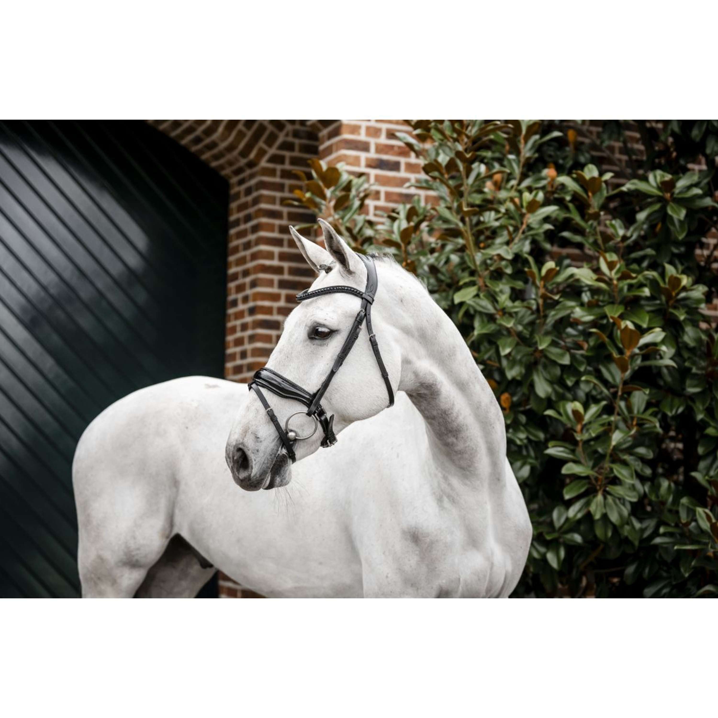 Horseware Hoofdstel Diamante Zwart