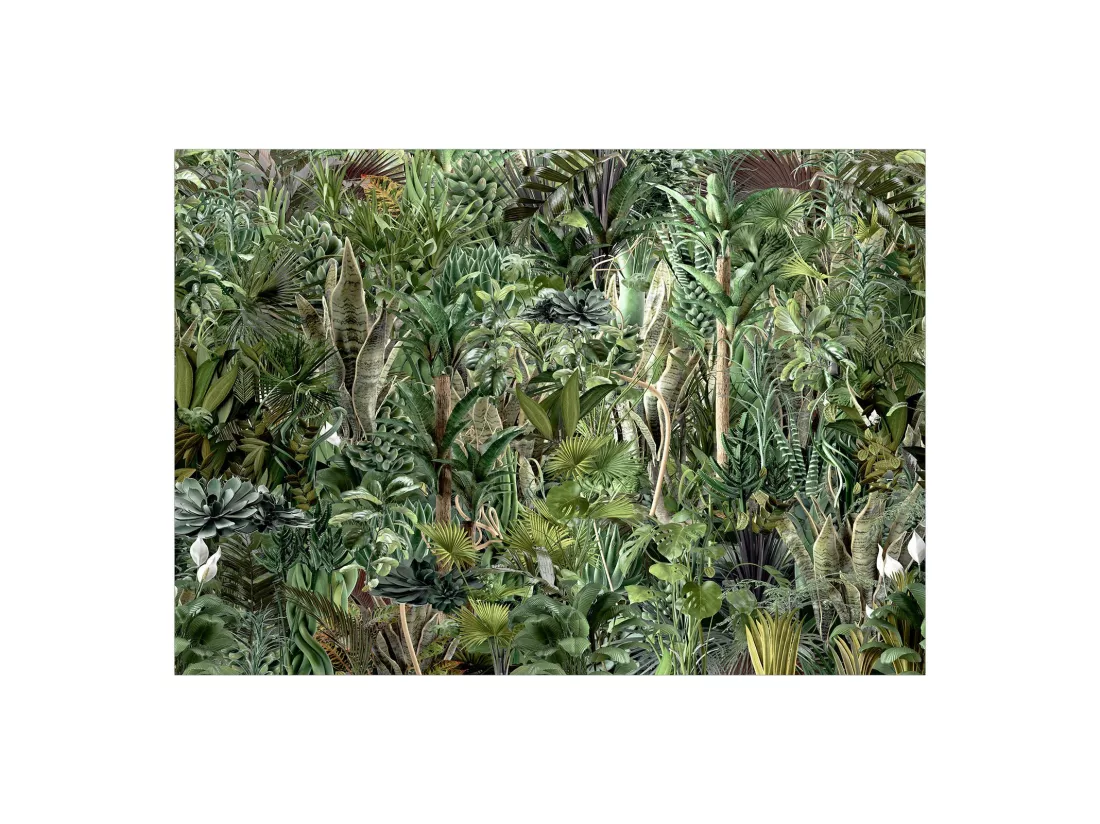 Papier peint Richness of Jungle - 400 x 280 cm
