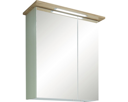 LED spiegelkast Salvie 60 x 72 x 20cm Salie