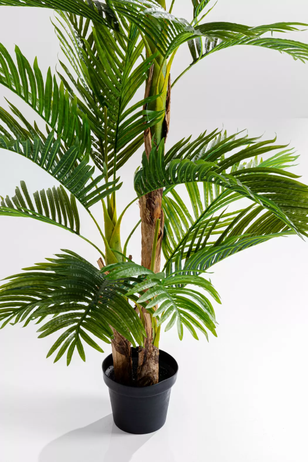 Deko Pflanze 51789 Palm Tree