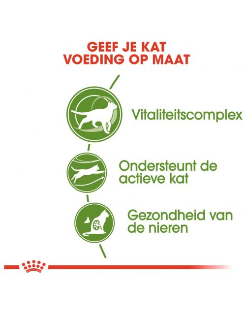 Royal Canin Outdoor 7+ - Kattenvoer