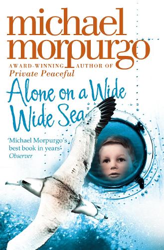Alone on a Wide Wide Sea (Paperback)