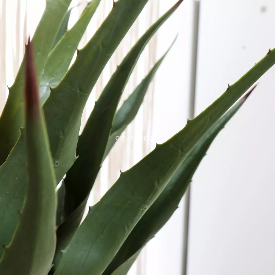 Plante artificielle (H73 cm) Palmier en pot