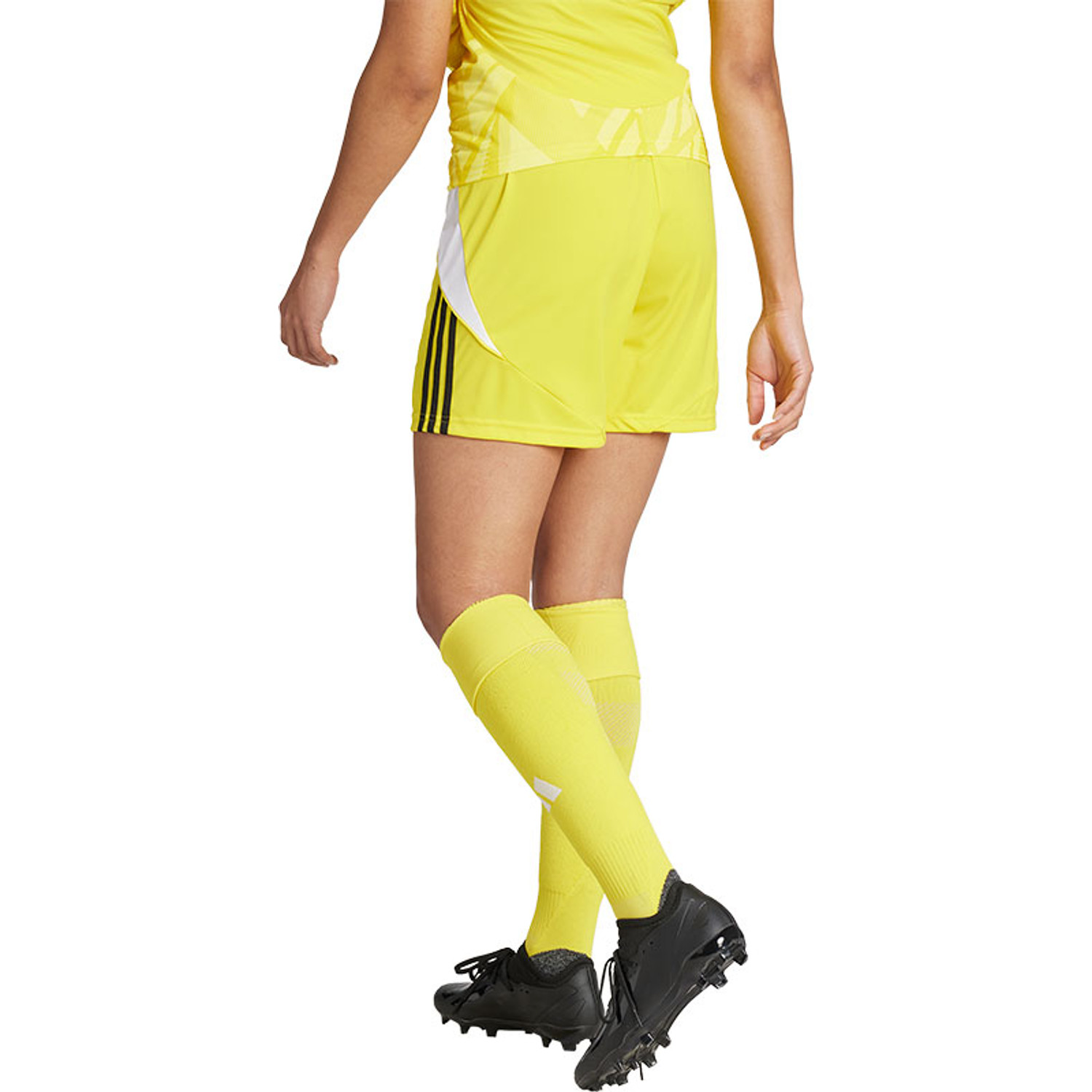 adidas Tiro 24 Training Short Dames