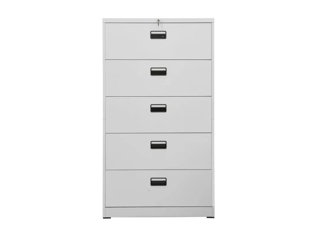 Classeur Gris clair 90x46x164 cm Acier