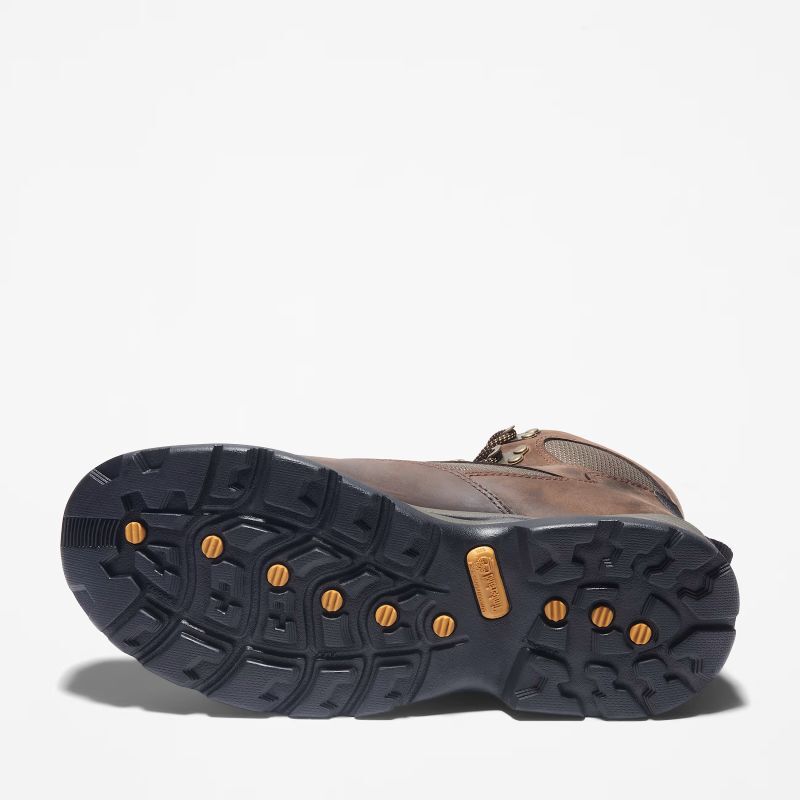 Chocorua Mid Waterproof - Chaussures randonnée homme