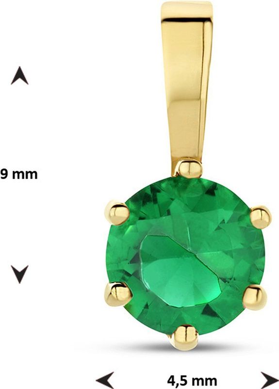 Hanger - Geelgoud - 14K - Geboortesteen Zirkonia - 9x4.2mm