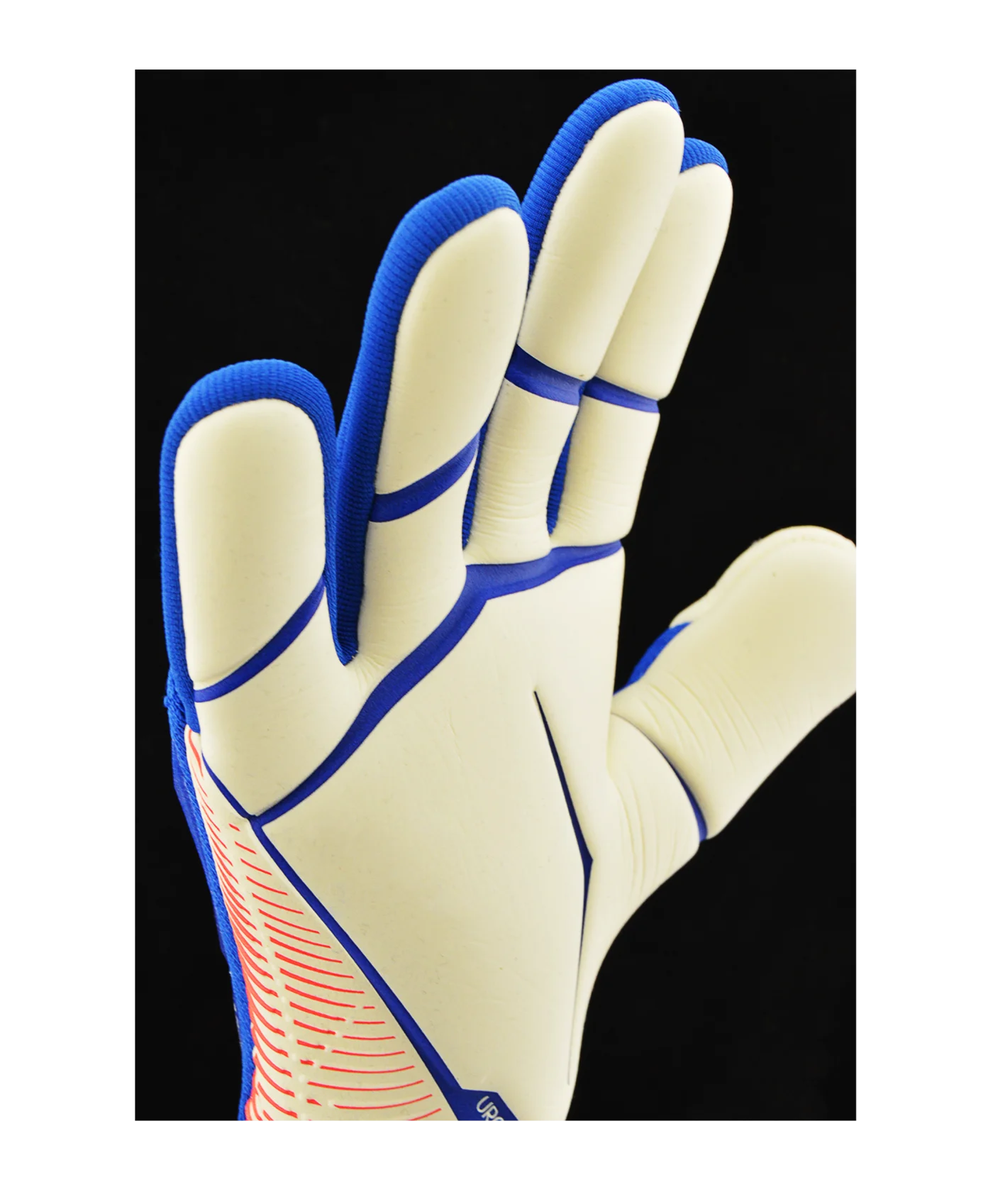adidas Predator Pro Negative Cut Sapphire Edge Torwarthandschuhe Blau Rot