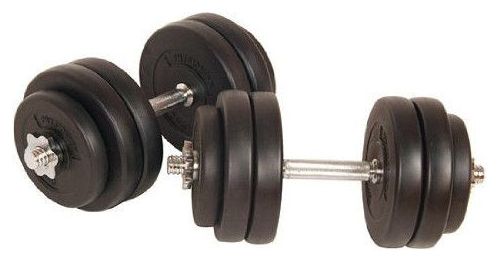 Lot de 2 haltères courts poids 30 kg (2 x 15 kg) avec disques set musculation fitness biceps 0701156