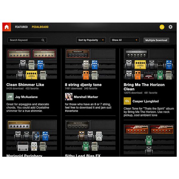 Positive Grid BIAS Pro Standard
