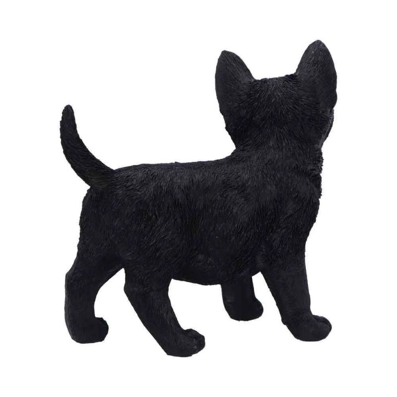 Charmed Companion | Nemesis Now Articles De Décoration