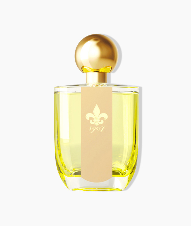Mon Ame 1907 PERFUMES 50 ML