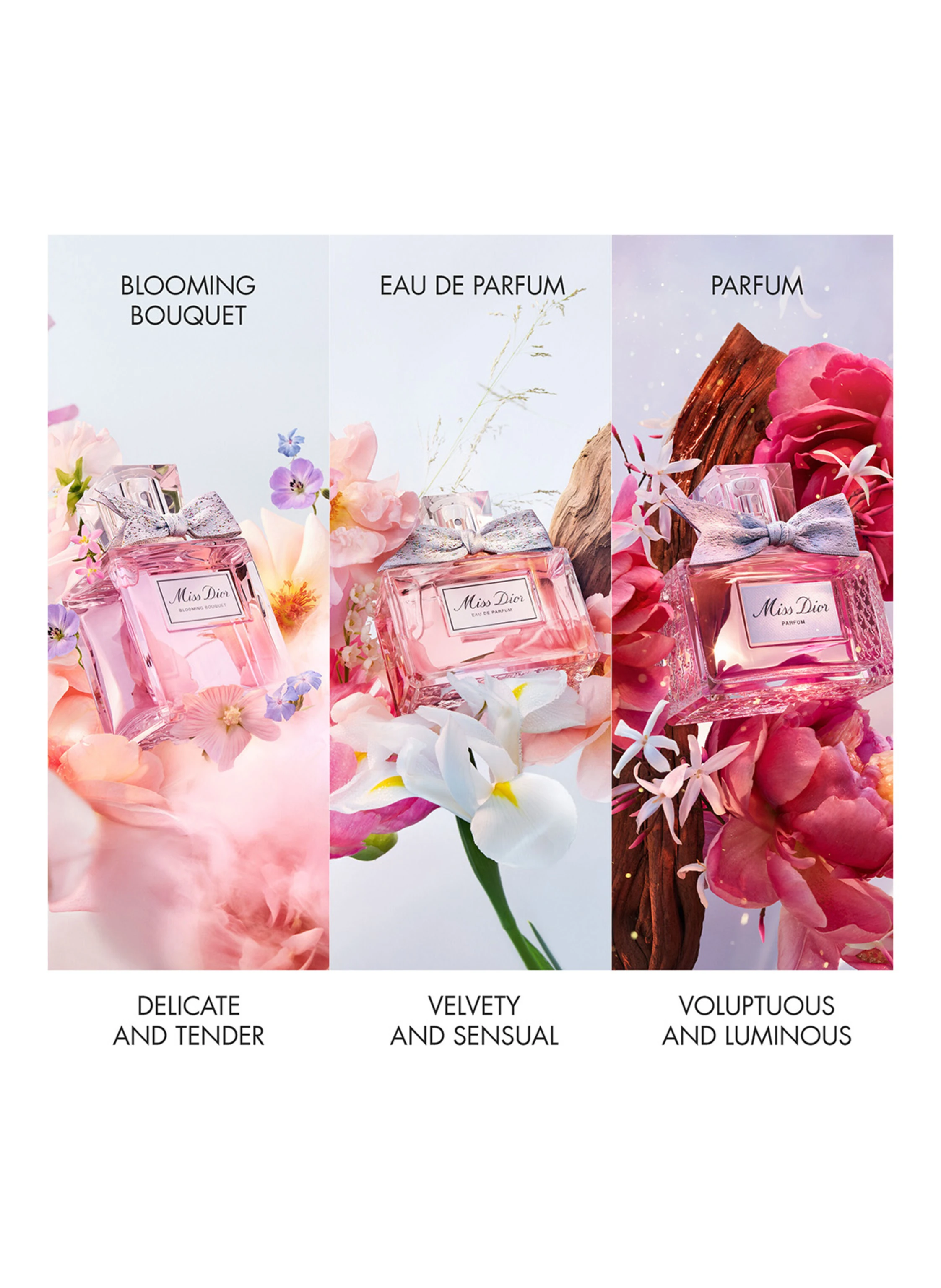 DIOR MISS DIOR - LIMITIERTE EDITION