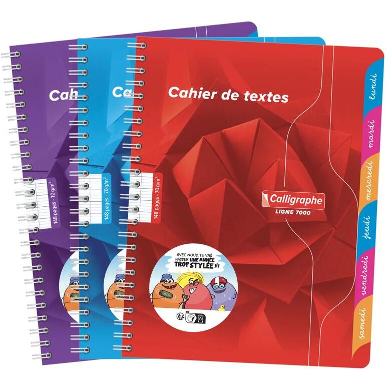 Textes reliure intégrale 7000 17x22 cm 148 pages grands carreaux 70 g - Assortis