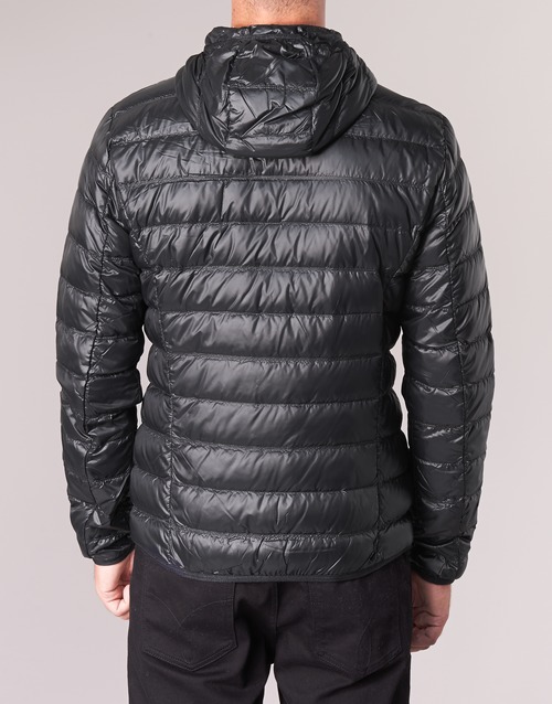 Emporio Armani EA7 - TRAIN CORE ID M DOWN LIGHT - Noir / Doré