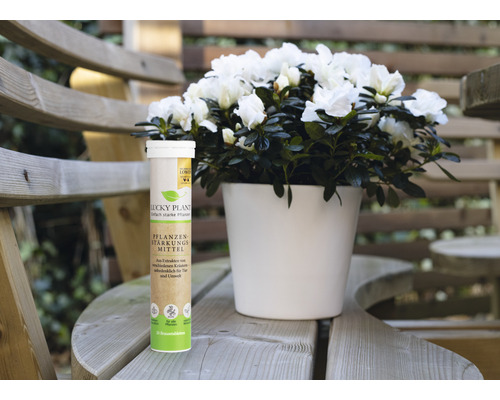 Lucky Plant Plantenversterkende Tabletten 20 Tabs