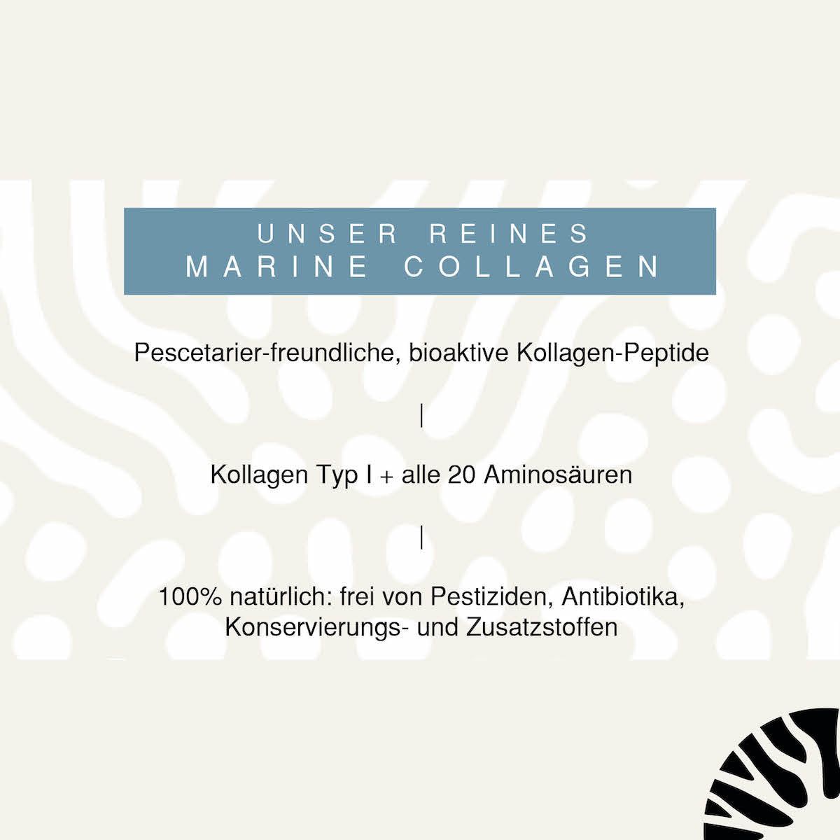 JARMINO Bio Fischknochenbrühe