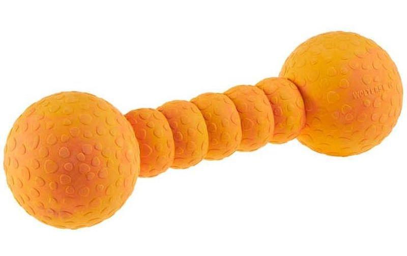 Hunde-Spielzeug Aqua-Fun Gym, 23 cmWurfspielzeug – Mango