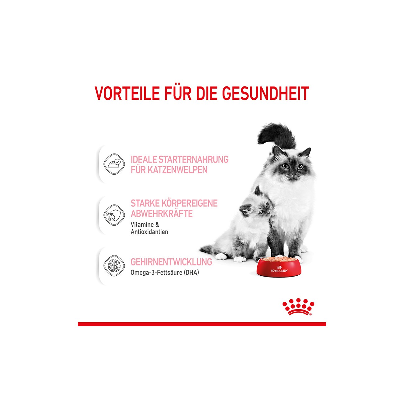 ROYAL CANIN Mother & Babycat Mousse 12x195 g