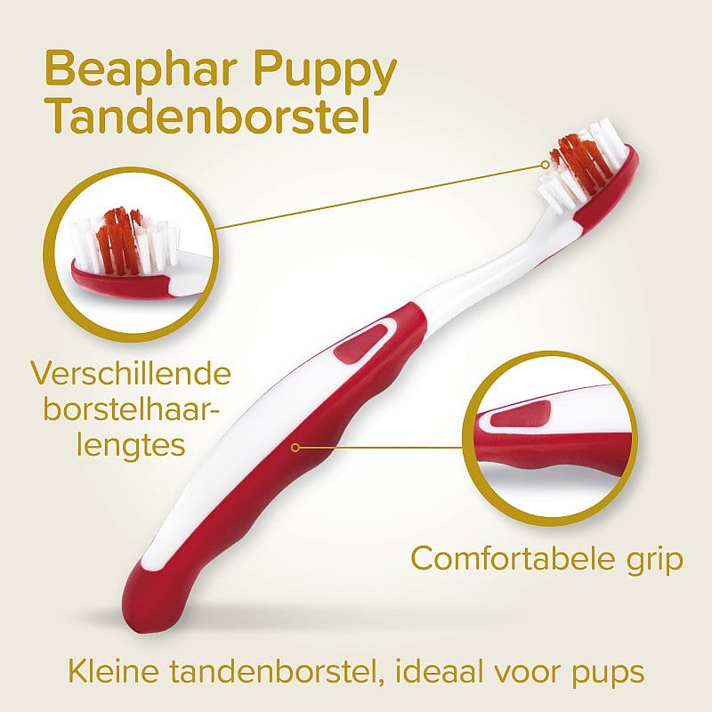 Beaphar Combi-Pack Puppy Tandpasta & Borstel | 13796