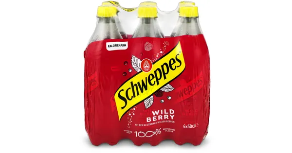 Schweppes Wild Berry 6x50cl
